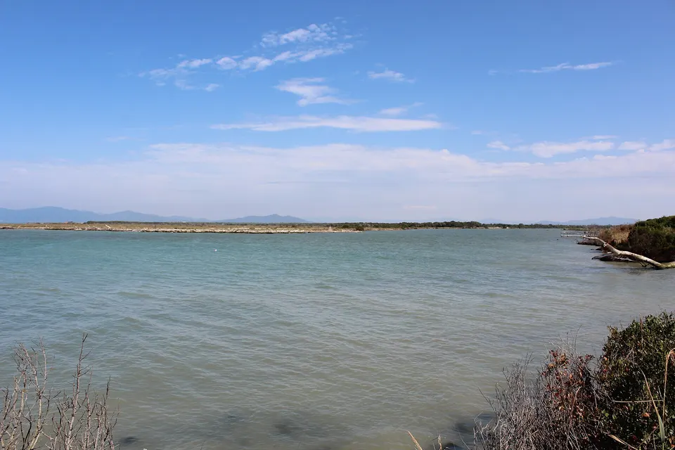 Parco della Maremma, inaugurato il percorso sensoriale a Bocca d'Ombrone