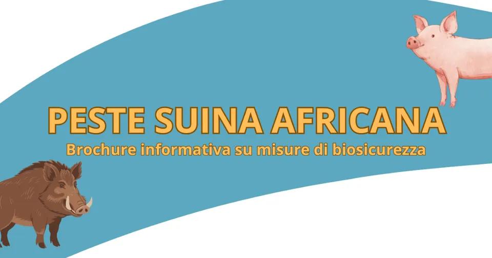 Peste suina africana: il Comune di Magliano in Toscana diffonde brochure sulla biosicurezza
