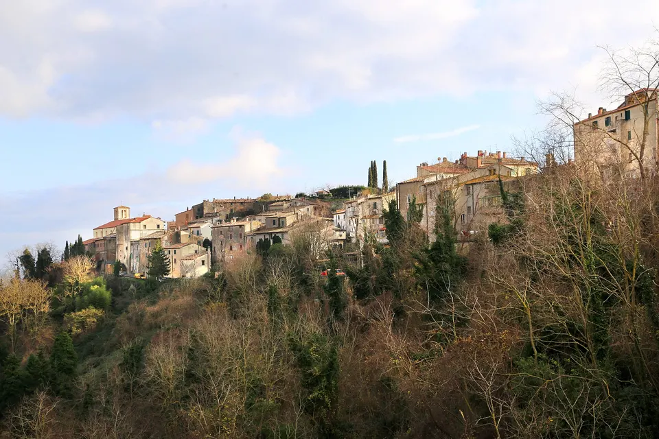 Funghi, caccia e pesca: cambiano le modalità di pagamento dei tributi regionali