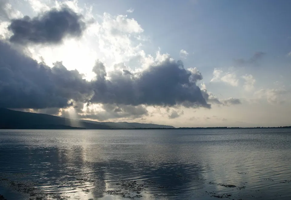 Lattococcosi negli allevamenti ittici, aperti i contributi per le aziende di Orbetello e Castiglione