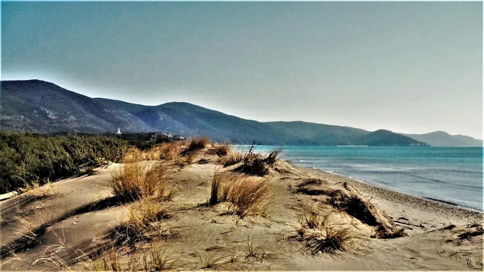 Parco della Maremma: guida a ingressi, sentieri e regole di visita