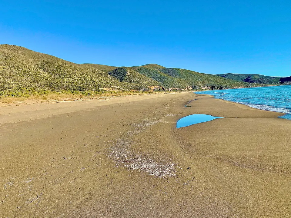 Marina di Alberese con i bambini: navetta, ombra della pineta e regole del Parco