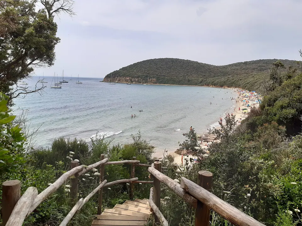 Cala Violina a Scarlino: come arrivare, accesso limitato e regole del parco