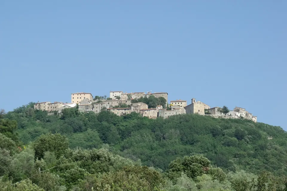 Roccastrada, boom di porcini a Sticciano dopo le piogge di metà settembre