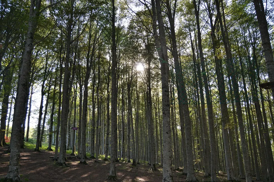 Aree pic-nic nel Parco della Maremma e sull'Amiata: dove pranzare all'aperto con i bambini