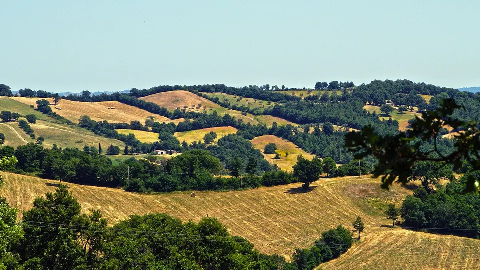 Trasporto scolastico a Scansano, la sindaca: "Servizio garantito dagli Ncc, incontrate le famiglie"