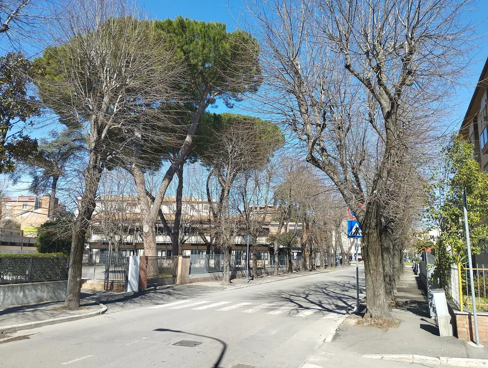 Grosseto, sorpreso a spacciare hashish tra i palazzi abbandonati di via de' Barberi