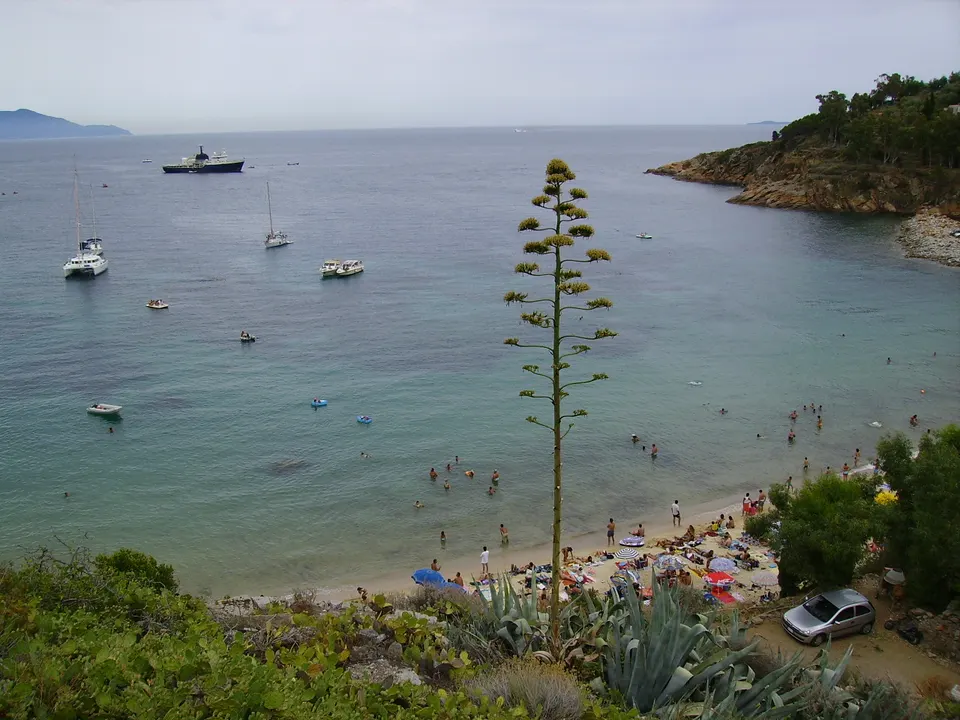 Isola del Giglio con i bambini: traghetto, spiagge e consigli per famiglie