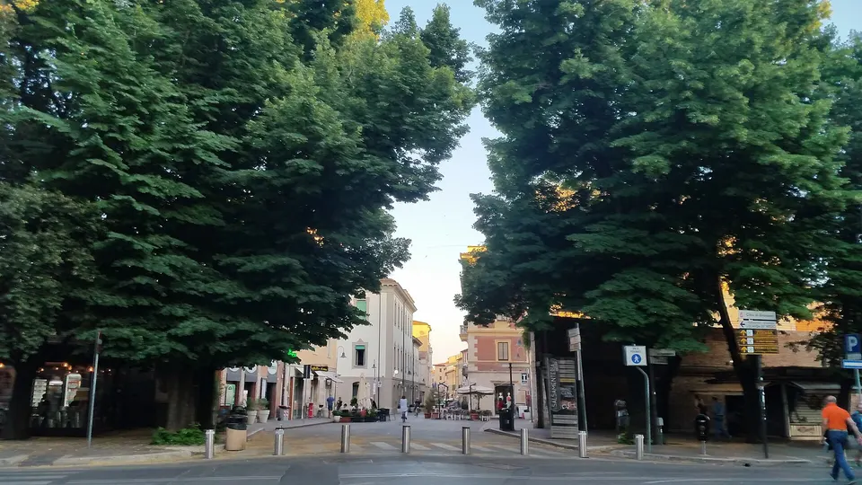 Bollo auto, Forza Italia Giovani Grosseto: gazebo sabato per illustrare la riforma