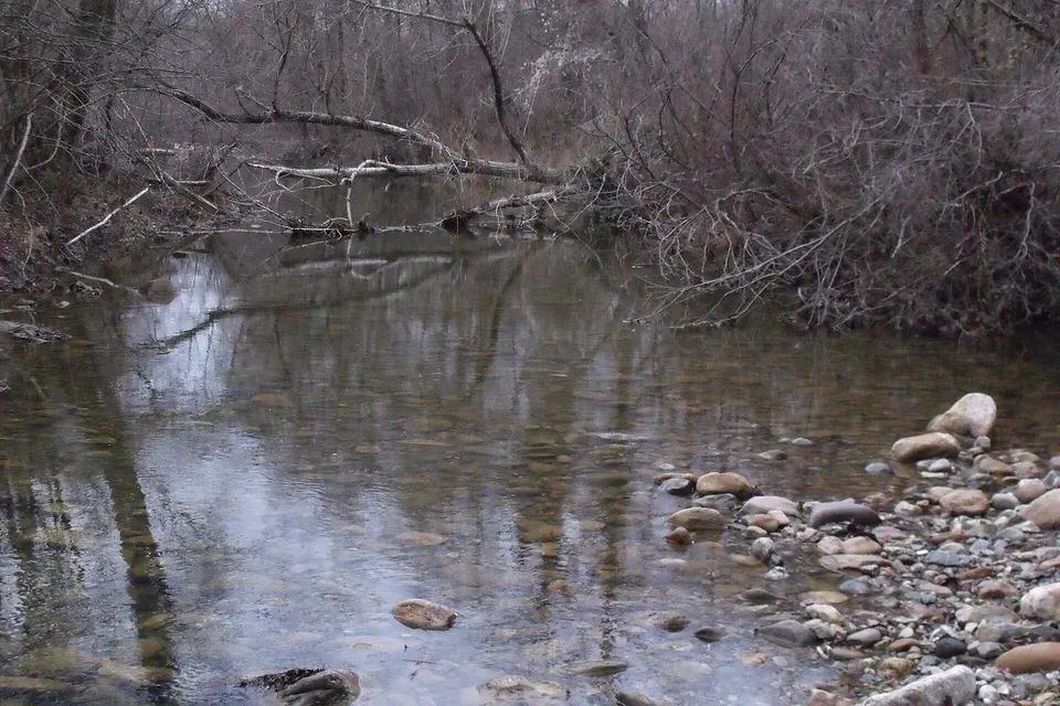 Riserva Naturale Farma tra Roccastrada e Monticiano: guida al trekking sul torrente