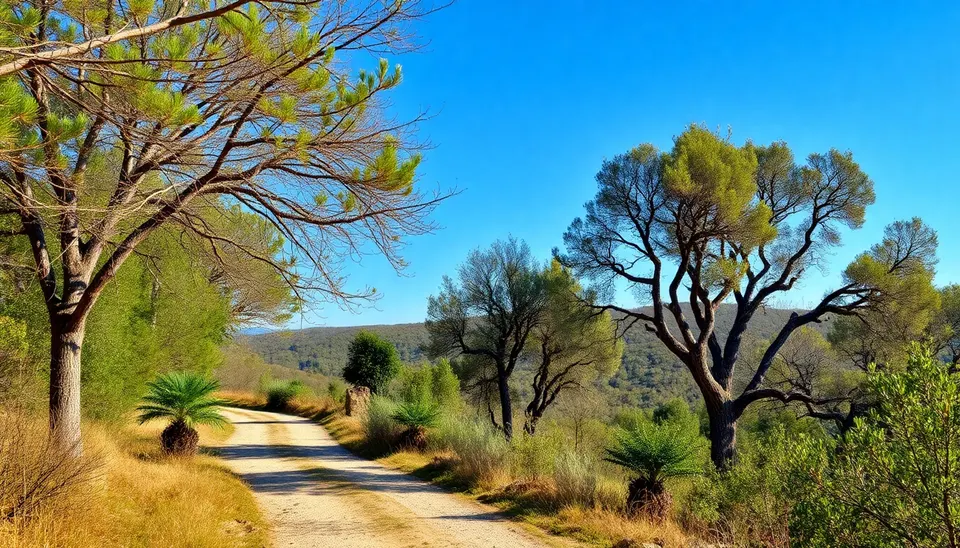 Riserva Naturale di Poggio all'Olmo a Cinigiano: sentieri nel bosco tra cerri e castagni