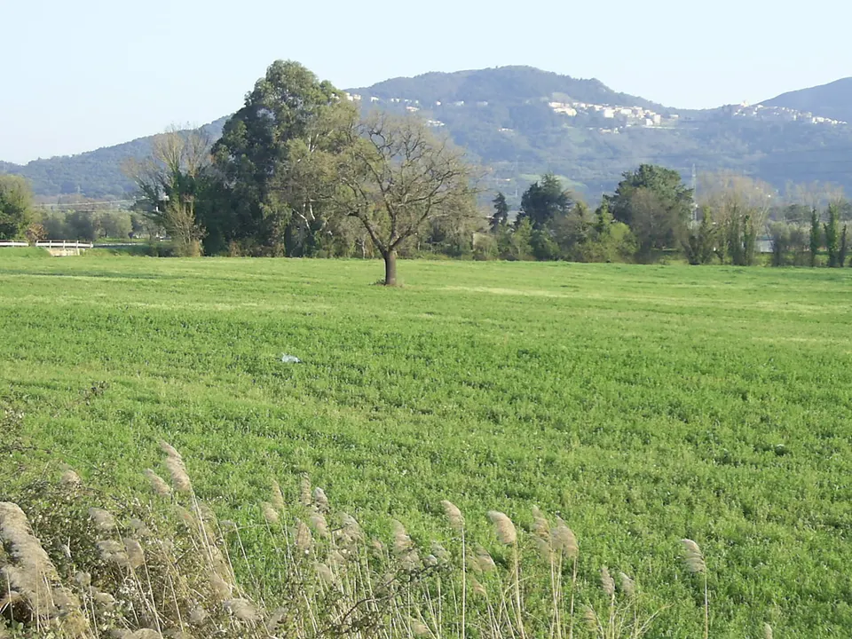 Incidente sull'Aurelia a Gavorrano: un morto e tre feriti
