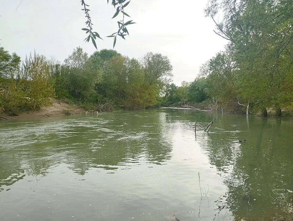 Alluvione del 1966 a Grosseto, la figlia del sindaco Pollini racconta l'allarme