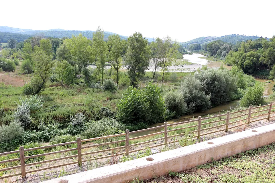 Strada del Cipressino, giovedì la presentazione del progetto a Paganico
