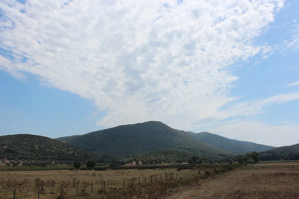 Parco della Maremma, la commissione regionale approva il bilancio 2025