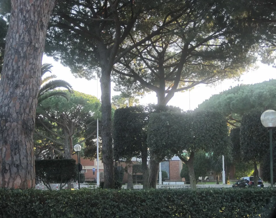 Pnrr e infrastrutture, a Riva del Sole incontro con il dirigente del Mit Pujia