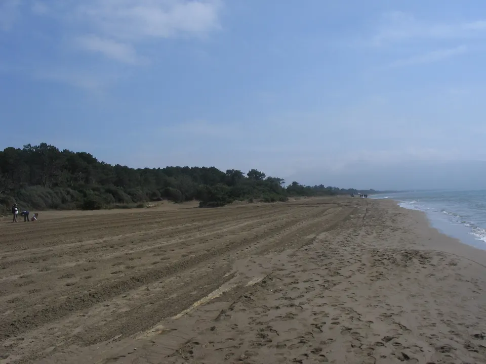 Orbetello, nuovo intervento di derattizzazione alla Giannella dal 5 ottobre