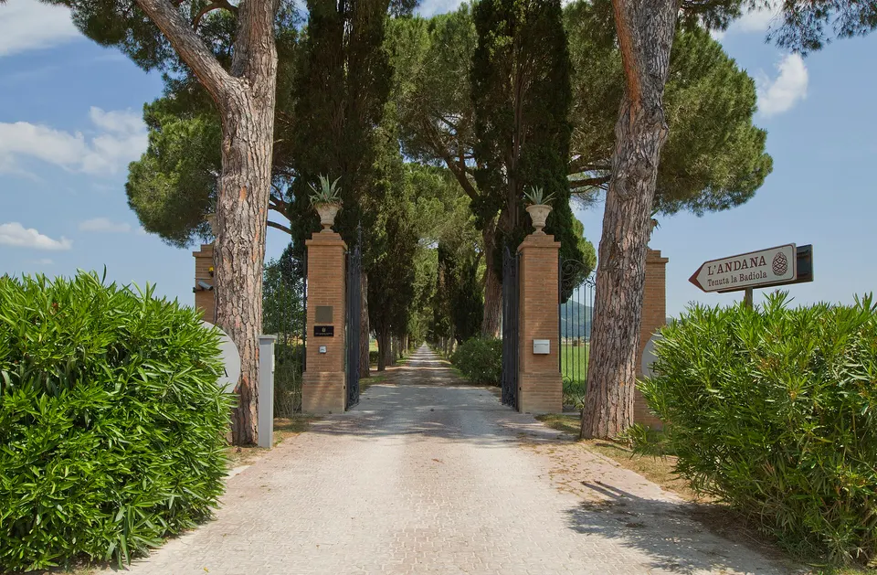 L'Andana di Castiglione della Pescaia verso un cambio di proprietà