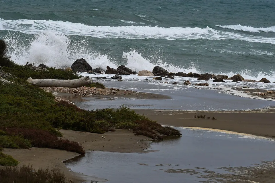 parco naturale della Maremma (Q918575)