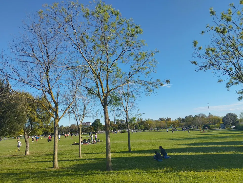 Grosseto, parco comunale