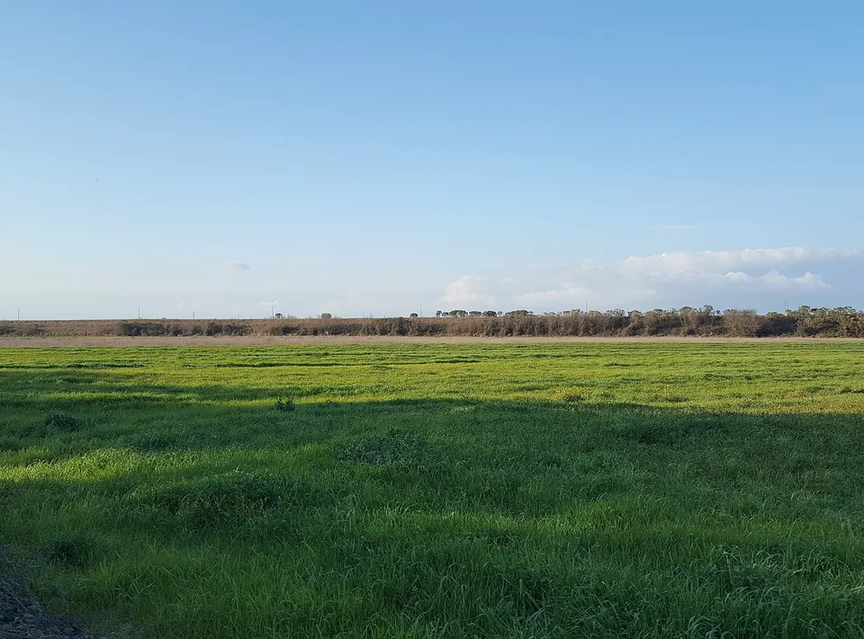 Il canale diversivo nella campagna di Barbanella, Grosseto