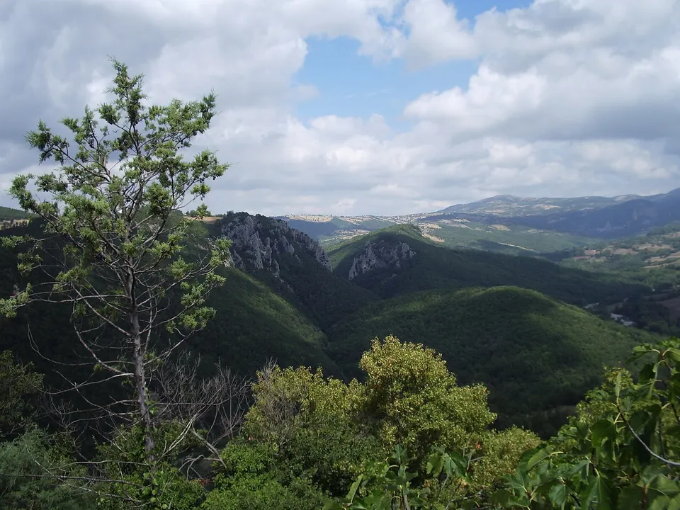 Veduta del Bosco dei Rocconi da Rocchette di Fazio (GR)