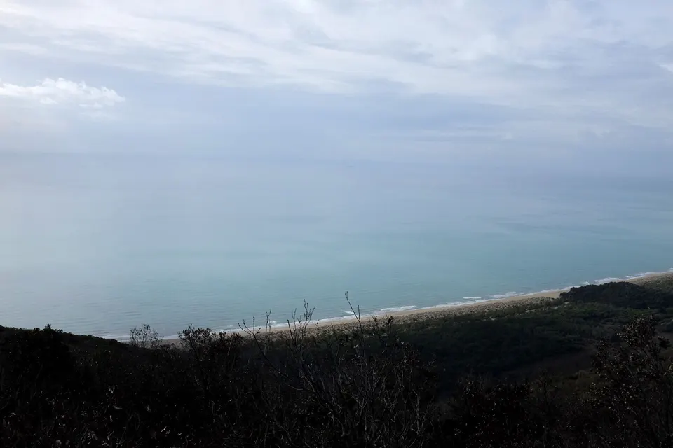Pianure del Parco della Maremma (Q55712685)